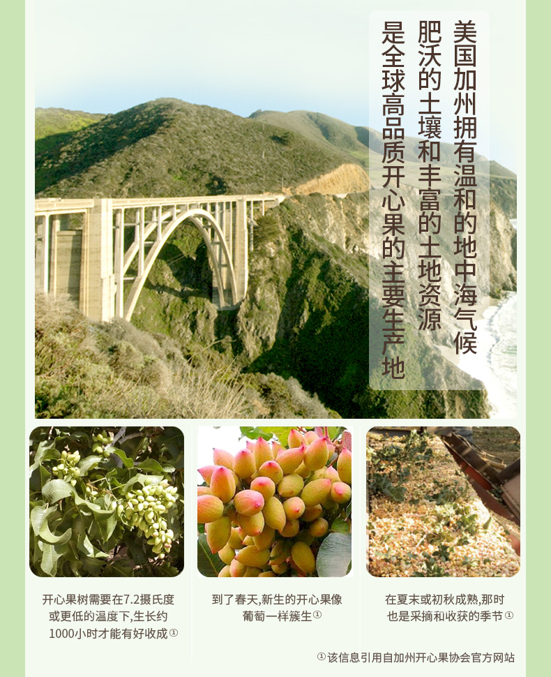 阿甘正馔 无漂白原味开心果 228g罐装 图3