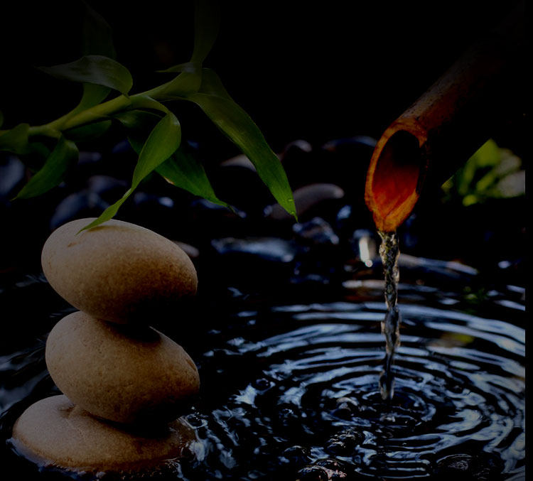 Bracelet de cheville Femme en Argenterie - Ref 3104233 Image 30