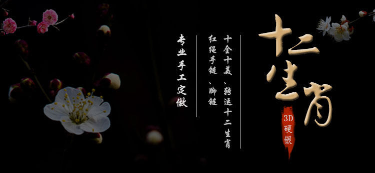 Bracelet de cheville Femme en Argenterie - Ref 3104233 Image 6