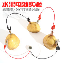 STEM technology small production DIY fruit battery Potato power generation Fruit power generation Kindergarten students science experiment