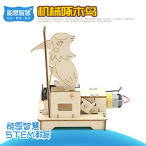 STEM junior high school students fun making handmade DIY woodpecker bird assembly toys big children learning teaching aids