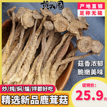 Deer antler mushroom dried goods 500g high quality Yunnan specialty natural sulfur-free 2021 new wild deer fungus soup mushroom