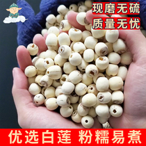 Grinding lotus seed specialty grade 500g core Lotus dry goods Fujian natural powder glutinous white lotus with Lily longan Tremella