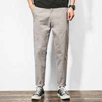 Светло -серый [Умеренный пружинный и осенний период]