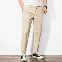 Хаки [Умеренный весна и осенний период]