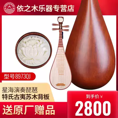 Xinghai pipa 8973QJ Special ancient Yi Sumu mahogany pipa peony head examination to play Beijing national musical instruments