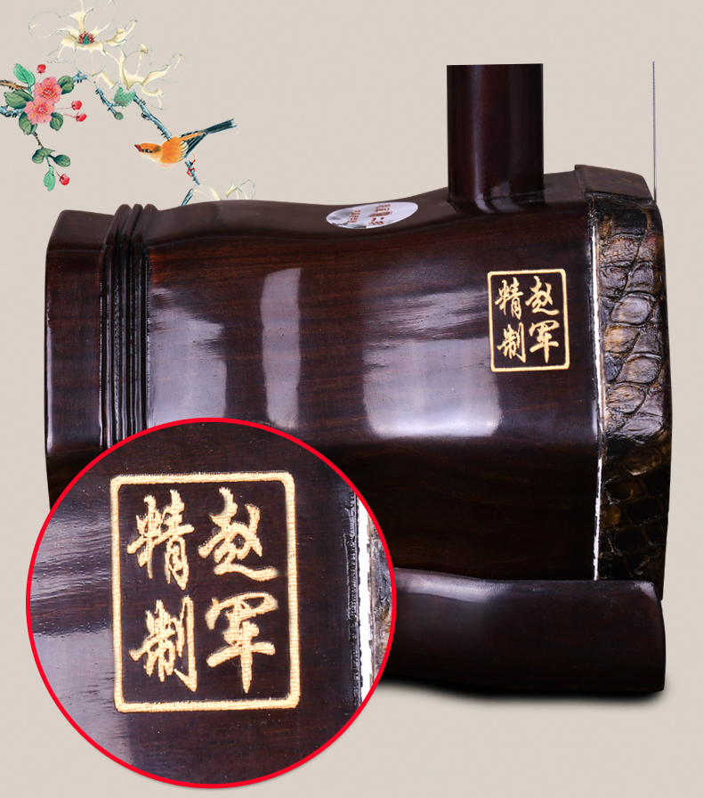 Zhao Jun Erhu Học chơi nhạc cụ Gửi đầy đủ phụ kiện Nhạc cụ dân tộc Erhu - Nhạc cụ dân tộc sáo điện tử
