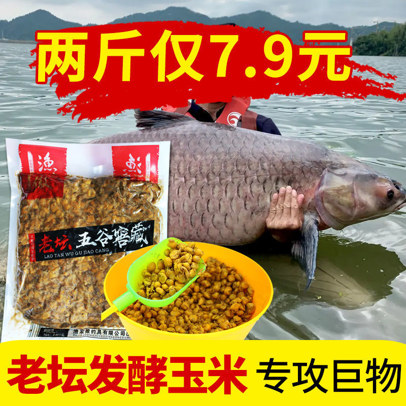Fermented 5 cereals Cereals Beating Fish Bait Fishing Corn Grain Bait Reservoir Wild Fishing Crucian Carp Old Tan Valley Wheat Base Nest