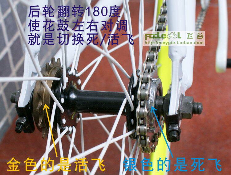 Roues de vélo FEELCOOL - Ref 2377143 Image 23