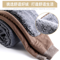 Mens 100% wool pants thickened and velvet five-layer camel wool warm pants womens middle-aged and elderly high-waist extra-thick cotton pants winter