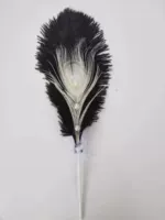 Bow Pearl Beautiful Feather-Black