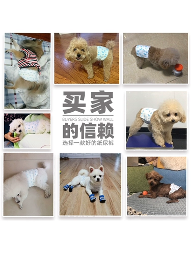 Dono Gongshuan Dog Dog Dog Dog Demiaper Специальные физиологические штаны для плюшевого золотого мао.