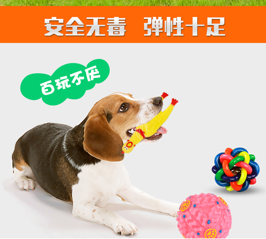 Con chó đồ chơi con chó mèo bông lớn vàng tóc sạch răng mol cắn đào tạo dây vật nuôi âm thanh rò rỉ thực phẩm bóng xương đồ chơi cho chó