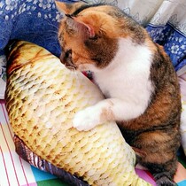 Catnip fish toy cat pillow pet nibbling toy crucian carp goldfish carp