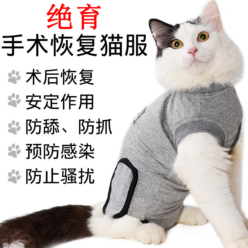 Купить Одежда для животных Кошка анти-царапин стерилизации сушилка ...