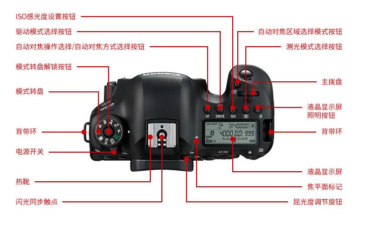 Máy ảnh DSLR Canon / Canon EOS 6D Mark II Full Frame Sản phẩm mới Thẻ 6D2 - SLR kỹ thuật số chuyên nghiệp máy chụp ảnh mini