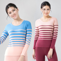 Lady Shuvet Pure Cotton Warm Underwear Blouse Blouse Cotton Sweater Cotton Sweatshirt Autumn Clothes Woman Mid thick size for undershirt winter