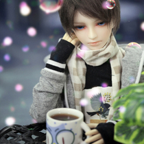  dollfamily-h DF-H 4 points Ling Feng(1 4) BJD Original