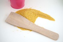 Dung shovel bird cage cleaning tool