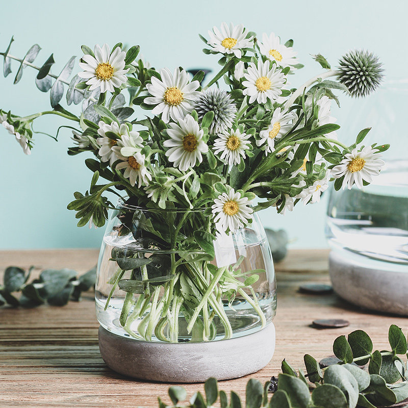 Creative Transparent Glass Vase Hem Living Room Flower Arrangement Flowers Water Raising Green Lori Water Peware Tabletop Thick Wall Fish Tank 