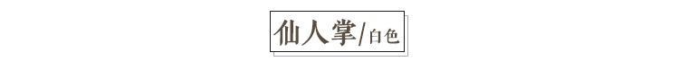 Bắc âu đơn giản lá sen xương rồng trắng thêu giường bìa chần chần chăn khăn trải giường nhà dệt bộ đồ giường