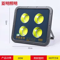 Yaming 200ww Project White Light