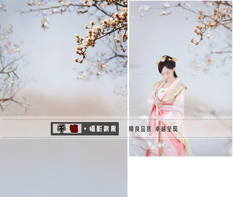 The background of ancient style photography theme of the film architecture background of ancient wind plate is not central