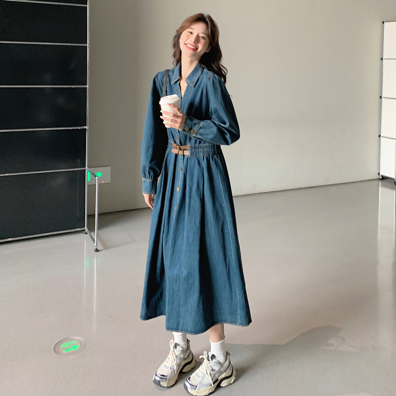 High-End Waist-Cinching Slimming Long Skirt, New Spring and Autumn Hepburn A-Line Skirt, Gentle French Denim Dress for Women