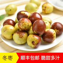 Shaanxi Dali Winter Jujube Shunfeng nuclear small fresh fruit crispy sweet seasonal fruit green jujube is now picked and found