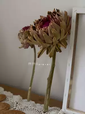 South Africa imported flower material overlord flower eternal dry flower home accommodation soft decoration window display set up