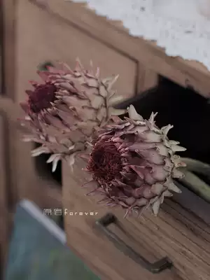 South Africa imported dried flowers high-end Flower Home soft clothing homestay decoration eternal flower Emperor flower dry flower window decoration