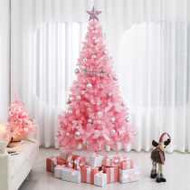 Christmas tree new Nordic style home package with lights pvc pink romantic scene layout Christmas decoration