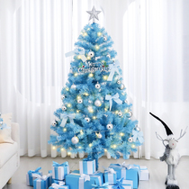 Blue Christmas tree pvc high-end family holiday decoration 1 5 meters 1 8 package ins2024 new Christmas tree