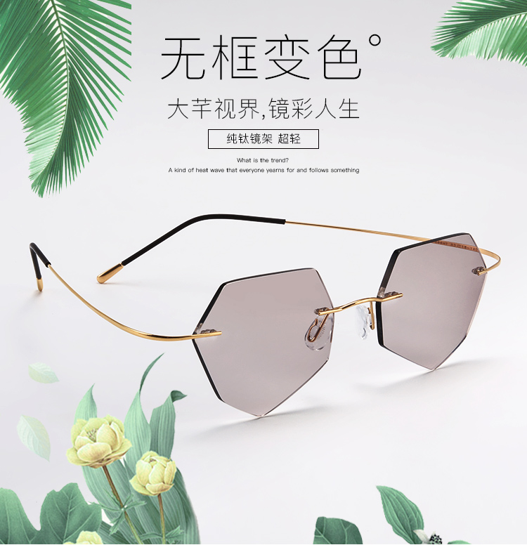 Montures de lunettes en Titane pur - Ref 3138988 Image 6