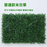 Оранжевая красная обычная миланская трава