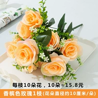 Шоколадный, цвета шампанского