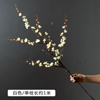 Кофейный цвет ветви холодная слива (белая)