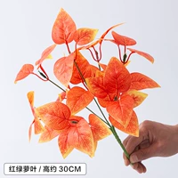 1 ветвь фиолетовых красных зеленых листьев листьев