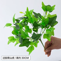 Прохождение лазания для резинки Tiger/1 ветвь