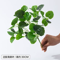 Прохождение листа резинки/1 ветвь