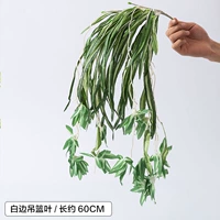 Сто боковые висящие корзину листья/1 ветвь