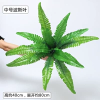 Средний персидский лист/1 ветвь