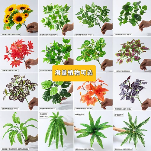 Моделирование растения стены фальшивая газон зеленый растение настен