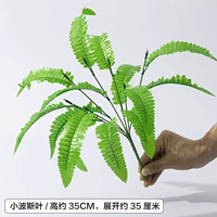 Маленький персидский лист/1 ветвь