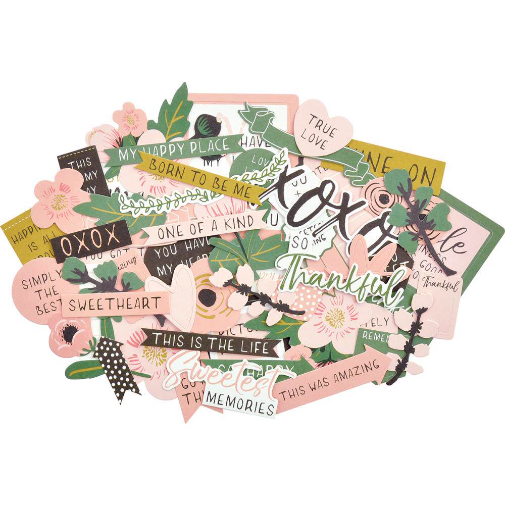 CT935 FLEUR Special Accessories Pack Pack of 40 Great Value Attached Mini Photo Album Made of Ears