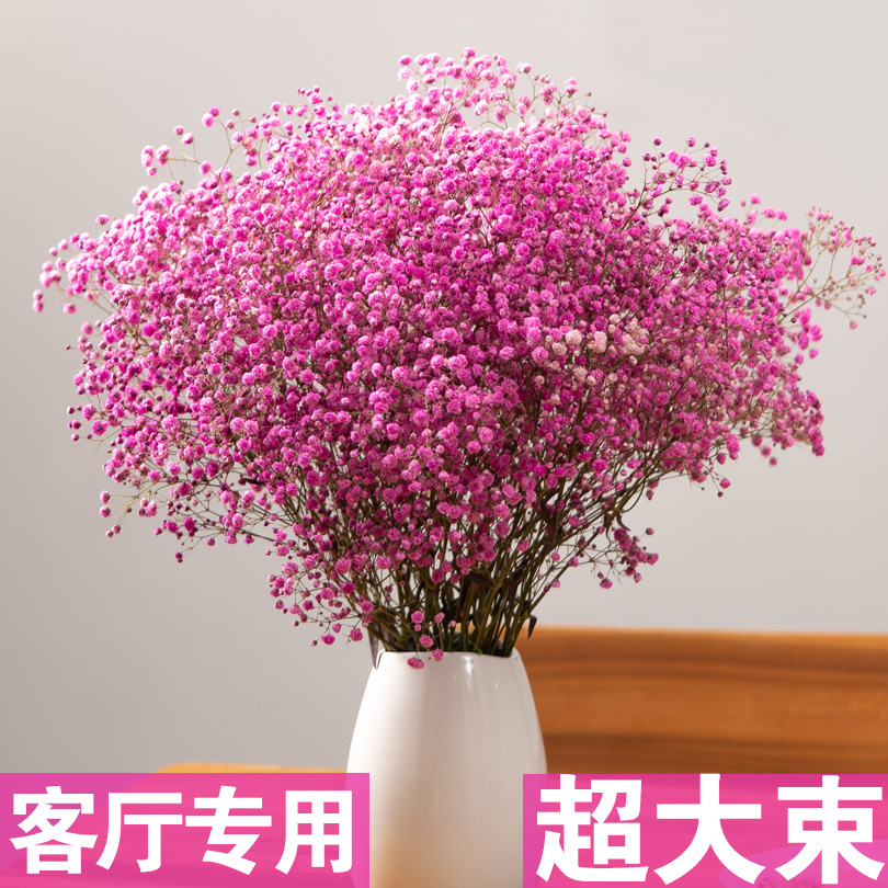 Large bouquet of starry dried flowers Bouquet of dried flowers in the living room Natural starry sky with vase Eternal true flowers