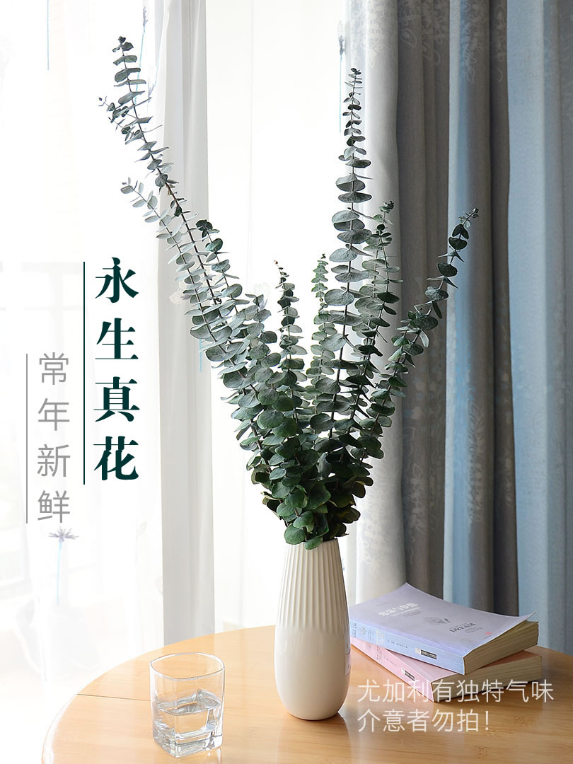 Round eucalyptus leaf dried flower immortalized flower living room decoration modern simple Nordic style real flower ornaments
