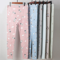 Pregnant women autumn pants Cotton belly pregnant women pants wear leggings pajamas Cotton pants spring and autumn line pants