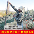 蔡伦造纸都市