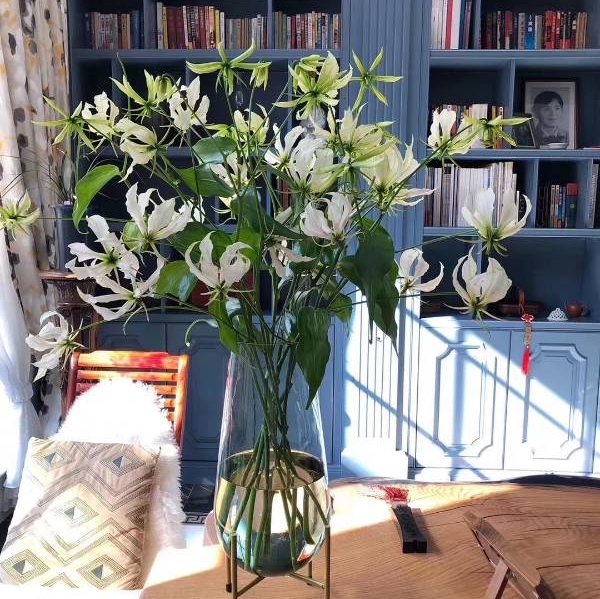 Yinjia Garden Japan imported Garland family vase flower arrangement fresh cut flowers high-grade flower material SF delivery 